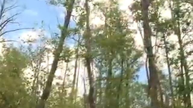 Рыбак Рыбаку 361 "Голавль и серые цапли". смотреть онлайн