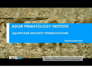 Адлерский институт приматологии