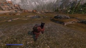 Skyrim моды для истинного КАДЖИТА