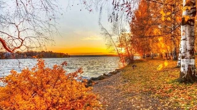 Налетели вдруг дожди Светлана Беликина кавер слов Харитонов В музыка Тухманов Д Авт вид НРудакова смотреть онлайн