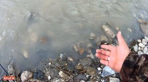 Рыбалка в Чечне. Ловля речного усача на реке Ярык-Су.