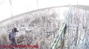 ч.2 Весеняя охота в Калмыкии(17 марта 2020г)