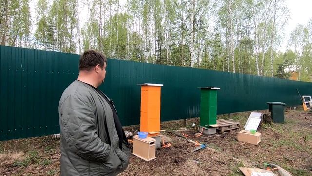 Как заселить пчел в улей. Без потерь и без последствий! смотреть онлайн