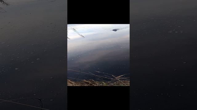 VID20220925062934.mp4 смотреть онлайн