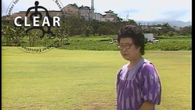 Rice & Roses presents MEMORY LANE смотреть онлайн