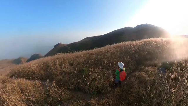 行山： 大東山芒草360 смотреть онлайн