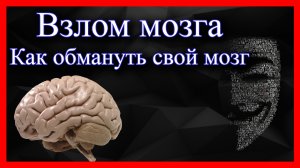 Как обмануть свой мозг. Лайфхаки управления своим телом, забавная психология.