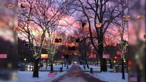 Stjepan Hauser _ oblivion (piazzolla)