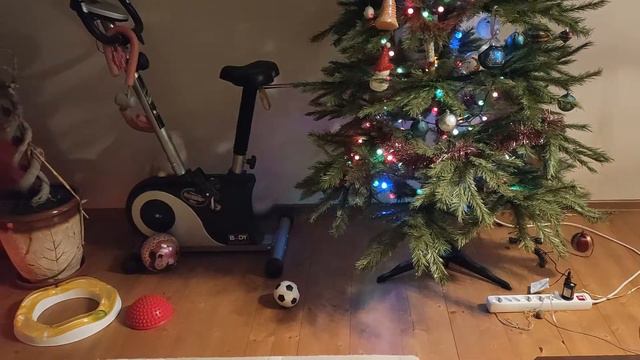 Персик и Симба "наряжают" ёлку смотреть онлайн