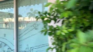 Милейший город во Флориде! West Palm Beach ❤️