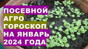 Посевной агрогороскоп на январь 2024 года. Sowing agrohoroscope for January 2024