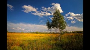 Ф.И. Тютчев. Есть в осени первоначальной