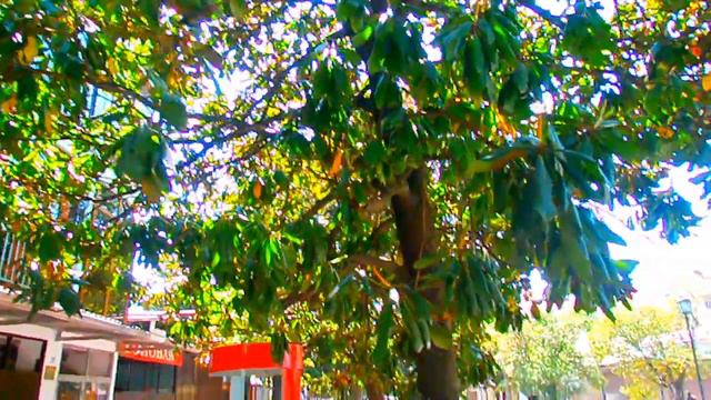 Перед самым сезоном Лазаревское, улица Калараша. Май 2013 смотреть онлайн