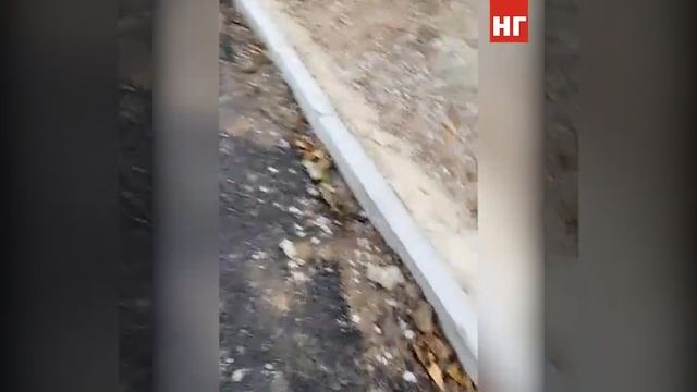 Что не так с ремонтом детских площадок в Костанае смотреть онлайн