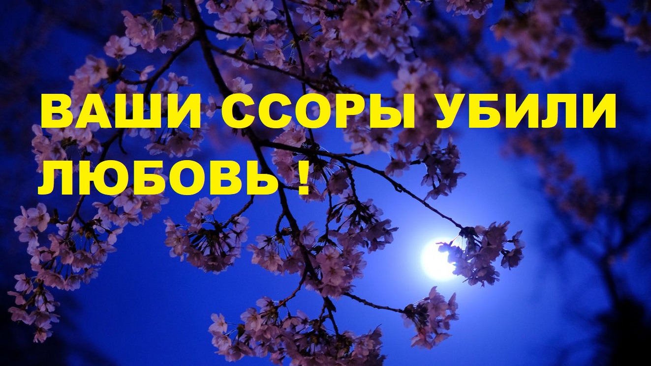 "НАШИ ССОРЫ МЕНЯ УНИЧТОЖАЮТ!" - ЧТО ДЕЛАТЬ?