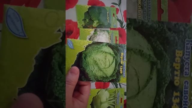 Брокколи, кольраби, савойская или цветная капуста? Какая нравится вам? смотреть онлайн