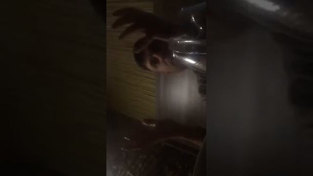 Чем отличается айфон от Андройд смотреть онлайн