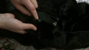 Как пришить пуговицу к шубе из натурального меха  ремонт шуб в домашних условиях своими руками