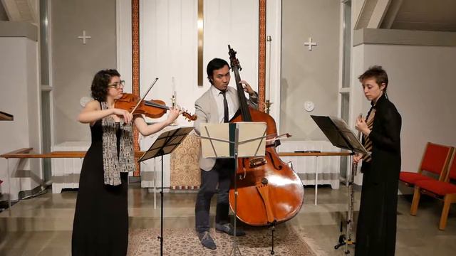 Schulhoff Concertino mvt iii - Trio Jinx