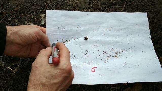 Сколько осыпется клеща после обработки? Много...