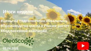 Итоги недели. Цены на подсолнечник обвалились, производство масла в РФ растет, ход посевной кампании