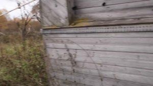 Заброшенные деревни Ярославской области. Совсем недавно тут жили люди