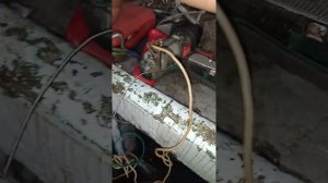 диагностика шуруповерта автоэлектриком своим инструментом