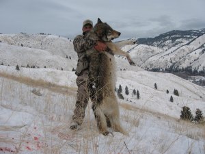 30 Самых Болшых Существ Кагда либо Снятых на камеру