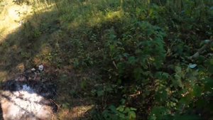 На велосипеде по АЛТАЮ 1 НАЧАЛО СТРАННИК АРТУР