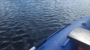 гладиатор 9.8 2 такта при данном комплекте скорость состовляла 37 км/ч