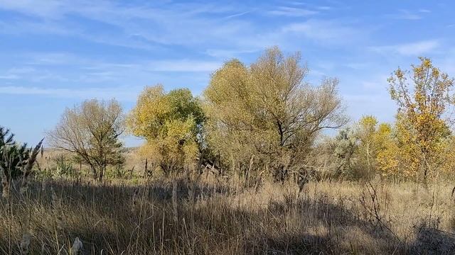 23 ноября праздник День Апостола Родиона. Ераст и Родион. Народные приметы и традиции.Именинники дн