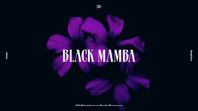 aespa (에스파) - Black Mamba Piano Cover смотреть онлайн