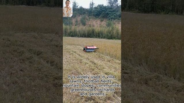 China made remote control hillside mower low price for sale, chinese best rc mower price