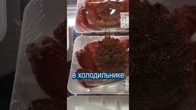 Зомби-краб сбегает из холодильника