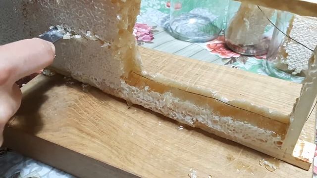 Как правильно хранить мед в сотах смотреть онлайн