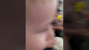 Кенгуру подрался с человеком