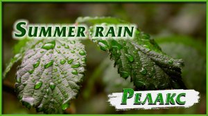 Summer rain