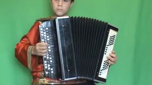 Напилася я пьяна Баян Алексеев Егор