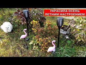 СОСЕДИ ПРИХОДЯТ ПОСМОТРЕТЬ! Украсила осень летним настроением! НА ДАЧЕ ПОСТАВИЛА КРУТЫЕ СВЕТИЛЬНИКИ