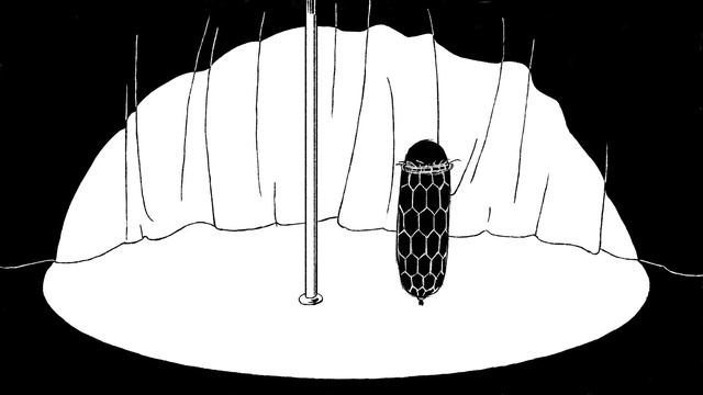 Чёрный Кабан - Белое полнит 18+ смотреть онлайн