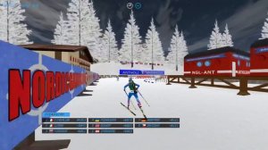 СИМУЛЯТОР БИАТЛОНА - NGL BIATHLON