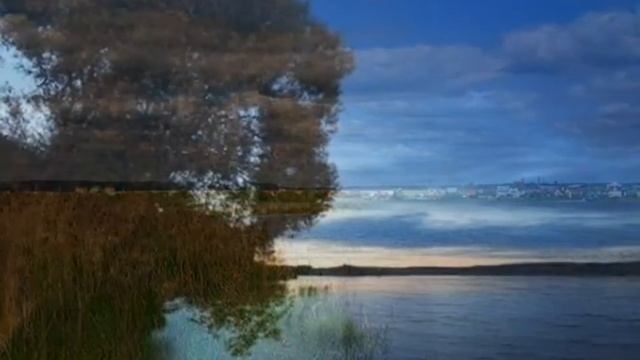 ЗЕМЛЯ , ПРОДАЖА ЗЕМЛИ И ЗЕМЕЛЬНЫХ УЧАСТКОВ. смотреть онлайн