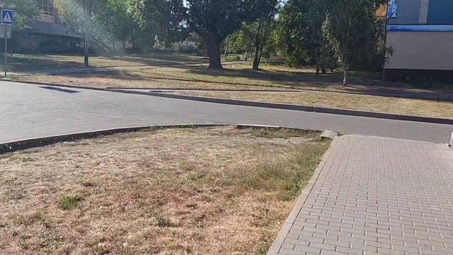 Что новенького. Вязовлог. смотреть онлайн