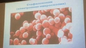 Возбудители раневых инфекций. Анаэробы. Хромова 2.