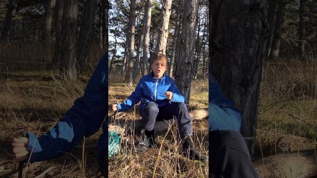 Отрывок «Бородино» М.Ю.Лермонтов смотреть онлайн