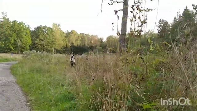 Прогулка по лесопарку Лосиный остров 🌳🍃🌲🌳🍂 12.09.2020