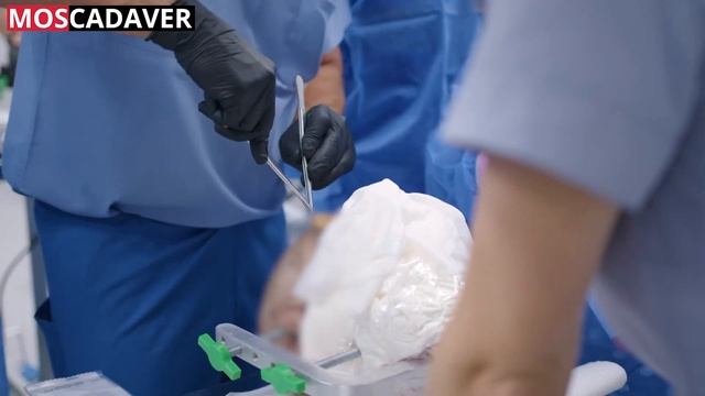 Кадавер курс для нейрохирургов под руководством профессора Кушеля Ю.В. KEY-HOLE хирургия 27-28.08.2 смотреть онлайн