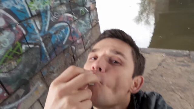 Как надо есть сырые перепелиные яйца