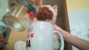 как оживить игрушку? 1 часть. ??