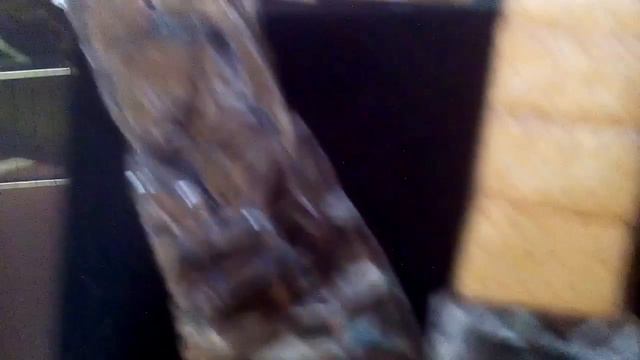 Выставка "космос" смотреть онлайн